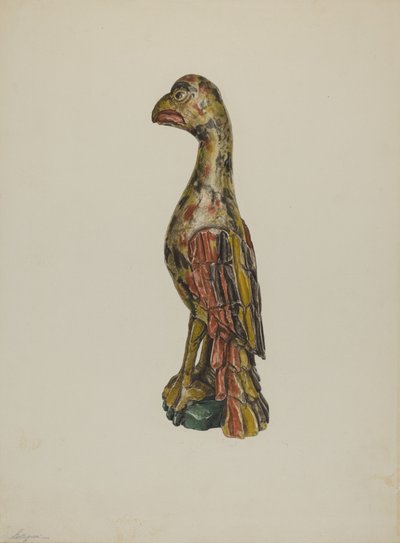 Pa. Německý papoušek, c. 1939. od Giacinto Capelli