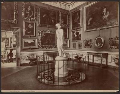 Florencie, Pitti, Flora Hall od Giacomo Brogi