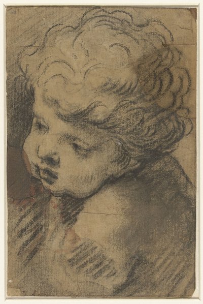 Hlava putta od Giacomo Cavedone (attributed to)