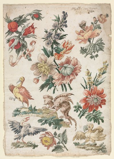 Květinové vzory s ptáky a grifonky, 1784. od Giacomo Cavenezia