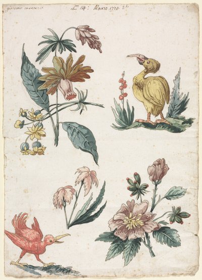 Květinové vzory se dvěma ptáky, 1774. od Giacomo Cavenezia