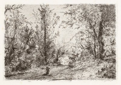 Les na Lago Maggiore [Les na jezeře Maggiore] od Giberto Borromeo