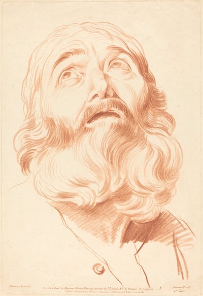 Hlava muže. od Gilles Demarteau