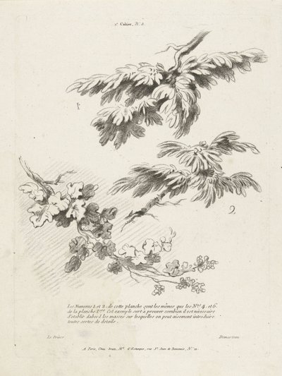 Studie tří větví s listy 1er Cahier de paysage (název série) od Gilles Demarteau