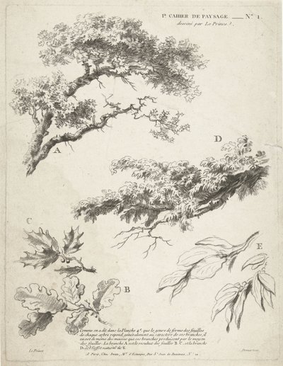 Studie větví s listy 1er Cahier de paysage (název série) od Gilles Demarteau