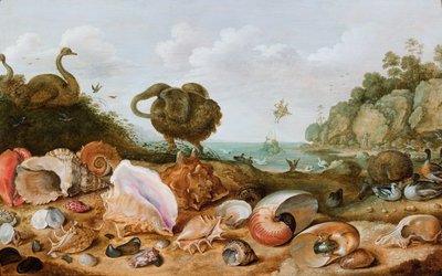Mušle a ptáci, včetně dodo, na mořském pobřeží, v pozadí Perseus zachraňující Andromedu. od Gillis Claesz d