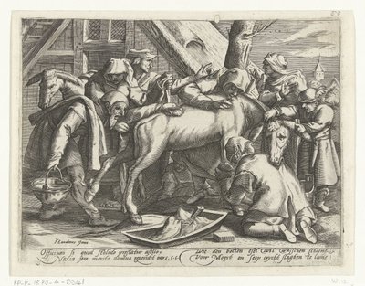 Mytí osla od Gillis van Breen