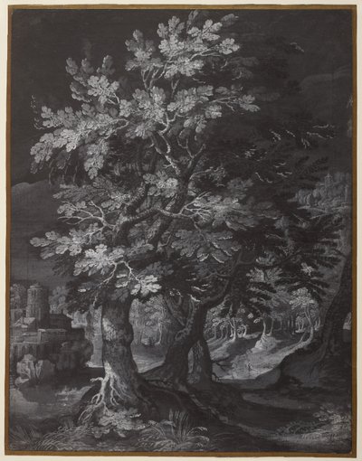 Lesní scéna od Gillis van Coninxloo
