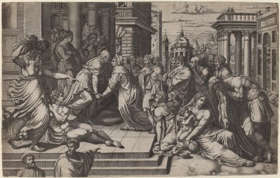 Návštěva od Giorgio Ghisi after Francesco Salviati