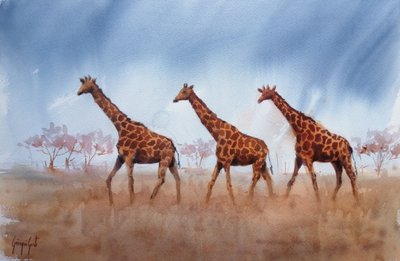 Safari – trojice žiraf od Giorgio Gosti