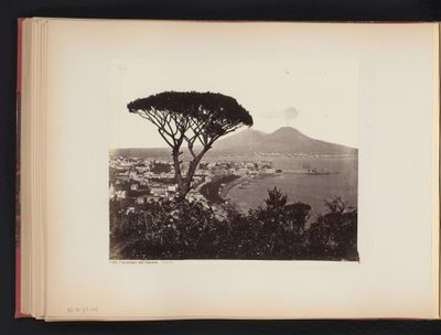 Pohled na Neapol, Itálie, s borovicí v popředí Panorama údolí Vomero Napoli (název na objektu) od Giorgio Sommer