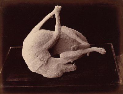 Odlitek, Pompeje, cca. 1870 (foto) od Giorgio Sommer