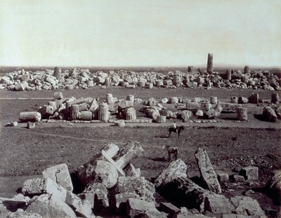 Panorama pozůstatků chrámu Minerva a chrámu Apollóna v Selinunte. Mezi ruinami archeologického naleziště je muž na koni od Giorgio Sommer