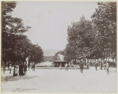  od Giorgio Sommer