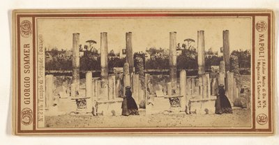 Serapidův chrám. Pozzuoli. od Giorgio Sommer