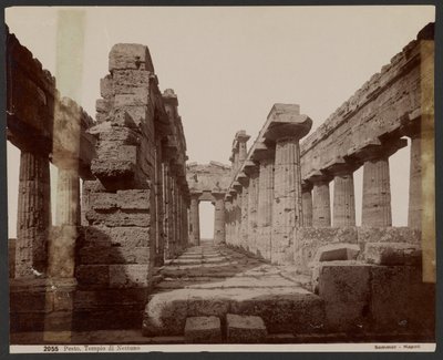 Neptunův chrám, Paestum od Giorgio Sommer