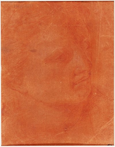 Hlava v tříčtvrtečním profilu (recto); Stojící mladý muž ukazující doleva a náčrtky nohou, paže (verze) od Giorgione