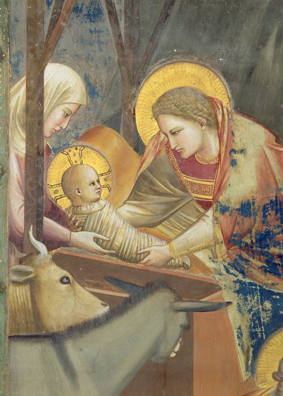 Narození Páně, asi 1305 (freska) (detail 65197) od Giotto (c.1266 1337)