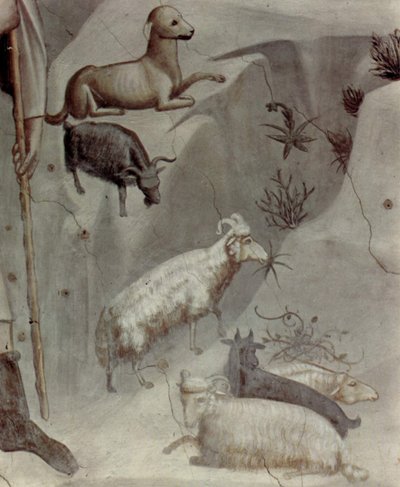 Scény z Joachimova života: 5. Joachimův sen

 (detail) od Giotto