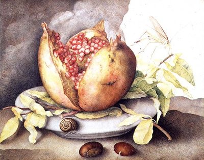 Granátové jablko s kaštany od Giovanna Garzoni