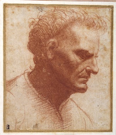 Hlava bezvousého muže, který se dívá dolů (červená křída na papíře) od Giovanni Agostino da Lodi