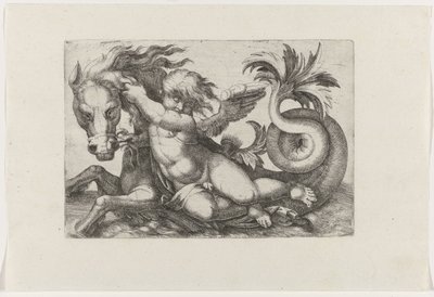 Putto jezdí na mořském koníkovi od Giovanni Andrea Maglioli
