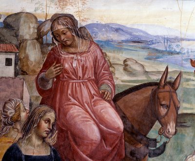 Benedikt opustil dům svého otce a odešel do Říma studovat Detail Benoitova služebníka Cyrilla - Freska klausu realizovaná Antoniem Bazzi dit il Sodoma (1477-1549) vyprávějící o životě svatého Benedikta z Nursie (480 - 567), zakladatele řádu od Giovanni Antonio Bazzi Sodoma
