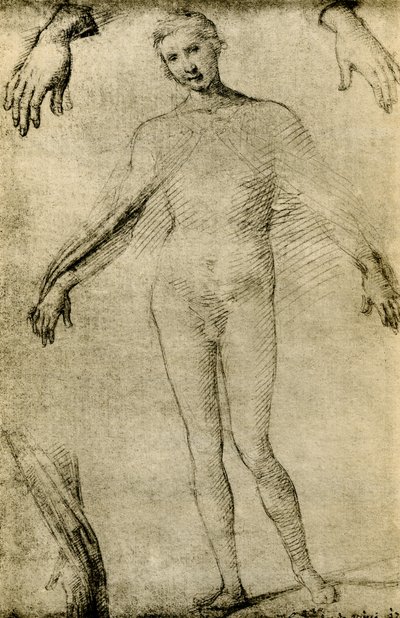 Modelová studie Panny Marie jako mater misericordiae od Giovanni Antonio Bazzi Sodoma