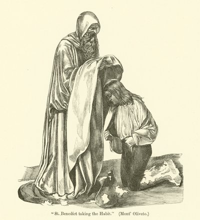 Svatý Benedikt si zvykne od Giovanni Antonio Bazzi Sodoma