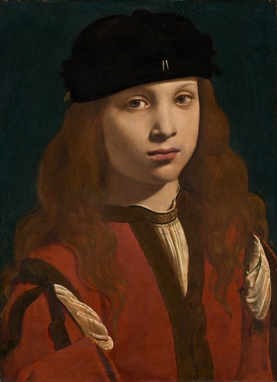 Portrét mládí, c. 14951498. od Giovanni Antonio Boltraffio