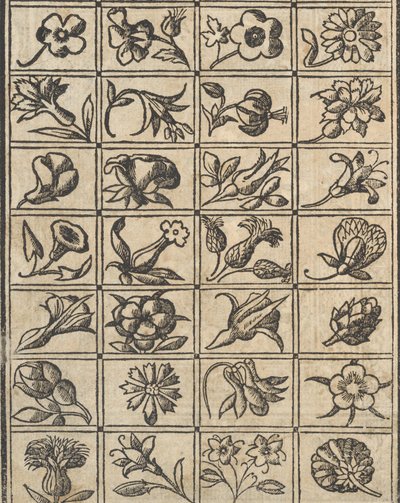 Příklad recammi, strana 10 zpět, 1530. od Giovanni Antonio Tagliente