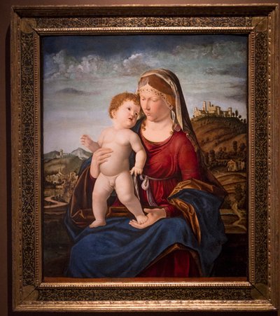 Madonna s dítětem (olej na plátně) od Giovanni Battista Cima da Conegliano