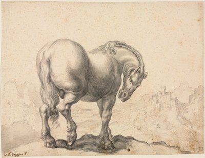 Studium hřebce od Giovanni Battista Foggini