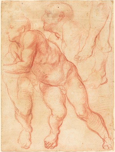 Studie mužského aktu od Giovanni Battista Naldini
