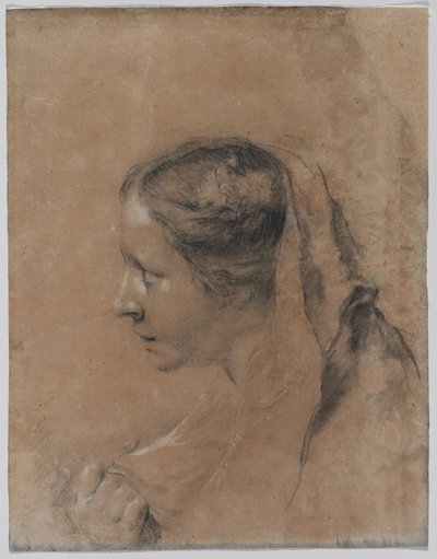 Hlava ženy v profilu s šátkem. od Giovanni Battista Piazzetta