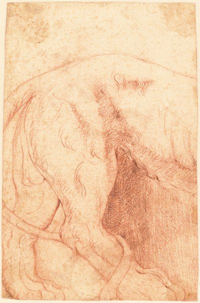Fragment eines Löwen-Reliefs (verso) od Giovanni Battista Piranesi