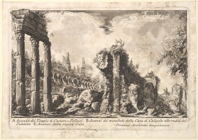 Pozůstatky chrámu Castora a Polluxa . . . Avanzo del Tempio di Castore e P..., 18. století. od Giovanni Battista Piranesi