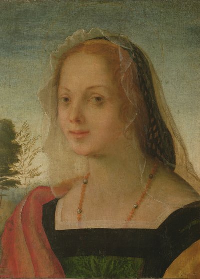 Portrét mladé dívky (tempera na panelu) od Giovanni Battista Rosso Fiorentino