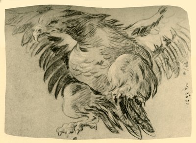 Orel, 1751-1752, 1928 od Giovanni Battista Tiepolo