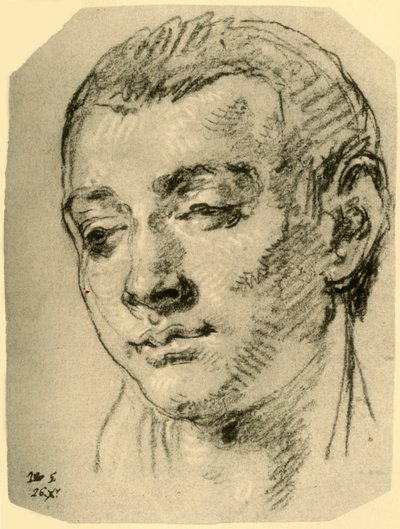 Kopf eines Jungen, Mitte 18. Jahrhundert von Giovanni Battista Tiepolo