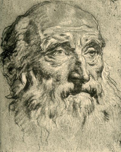 Hlava starého muže, polovina 18. století, 1928 od Giovanni Battista Tiepolo