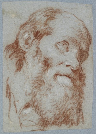 Hlava starého vousatého muže (červená křída, osahaná bílou, na vybledlém šedomodrém papíře) od Giovanni Battista Tiepolo