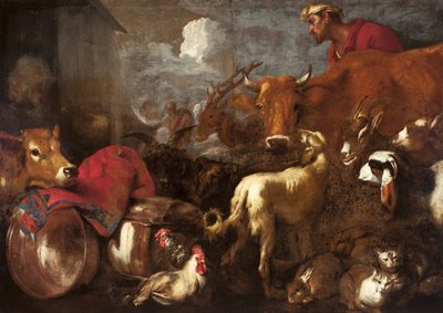 The Animals Board Noem