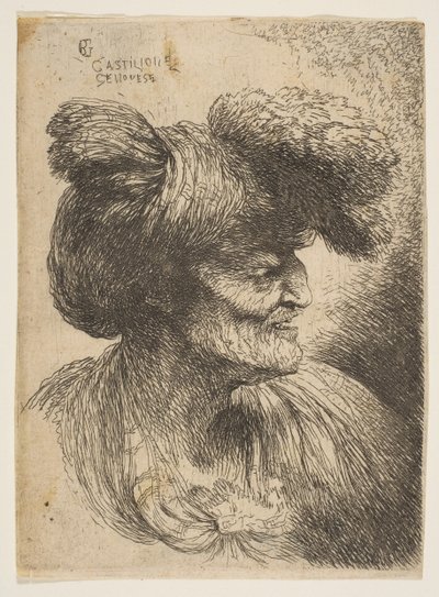 Busta bezvousého starce z profilu vpravo, ze série Malé hlavy ..., ca. 1645-50. od Giovanni Benedetto Castiglione
