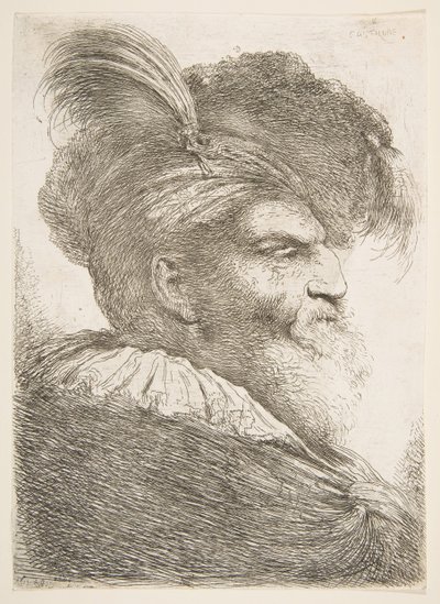 Hlava starého muže obrácená doprava, ze série Velkých orientálních hlav, ca. 1645-1650. od Giovanni Benedetto Castiglione