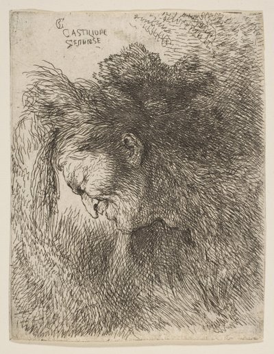 Hlava starého muže hledícího dolů, čelem doleva, ze série malých hlav v ..., ca. 1645-1650. od Giovanni Benedetto Castiglione