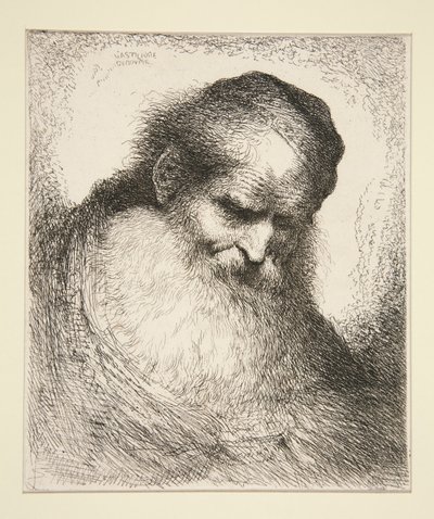 Starý muž s plnovousem čelem (ze série velkých orientálních hlav) od Giovanni Benedetto Castiglione