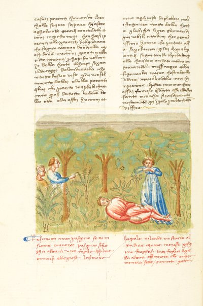 Dekameron, Rostlina mudrců - Pasquinova smrt , Čtvrtý den, povídka 7. od Giovanni Boccaccio