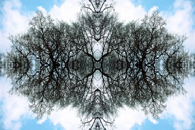 Unnatural 100 (digitálně upravená fotografie) od Giovanni Cafagna