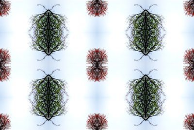 Unnatural 110 (digitálně upravená fotografie) od Giovanni Cafagna